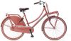 Popal Meisjesfiets Daily Dutch Basic 26 Inch 46 Cm Meisjes Terugtraprem Rood online kopen