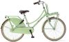 Popal Meisjesfiets Daily Dutch Basic 24 Inch 42 Cm Meisjes Terugtraprem Groen online kopen