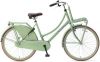 Popal Meisjesfiets Daily Dutch Basic 26 Inch 46 Cm Meisjes Terugtraprem Groen online kopen